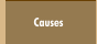 Causes